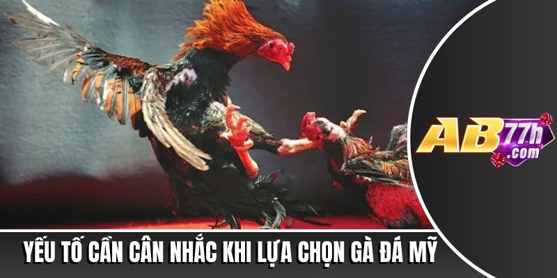 đá gà mỹ